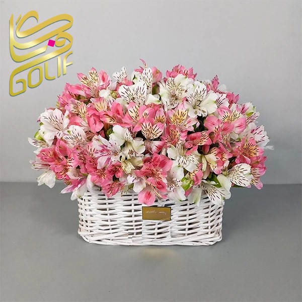 سبد گل تبریک تولد خواستگاری عروسی عاشقانه نوزادی ارسال رایگان زیبا لاکچری ارسال فوری سریع گل فروشی آنلاین گل فروشی گلیف golif لیلیوم ارکیده انتوریوم داوودی لاکچری